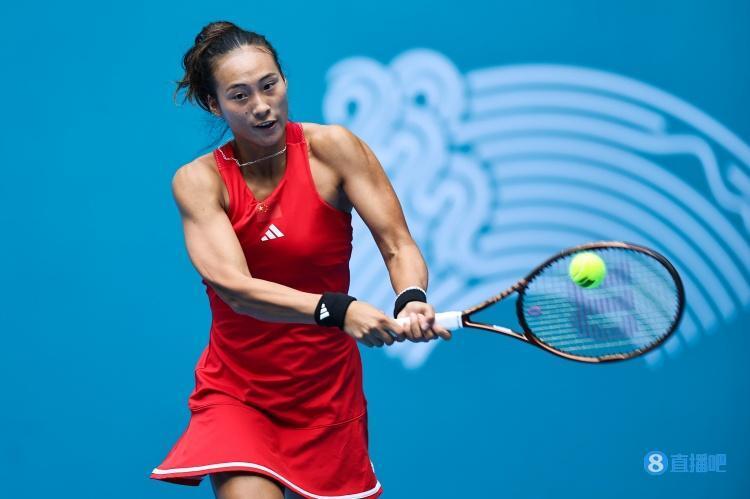 拳道实力的 拳道实力的